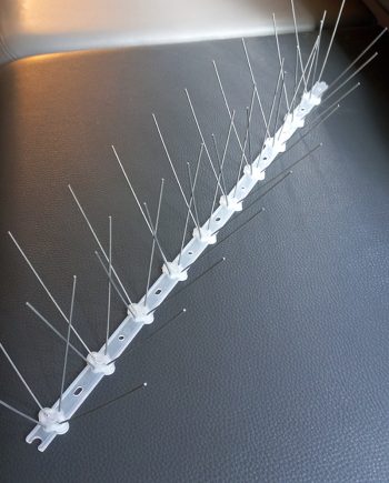 پرنده پران 50 سانتی